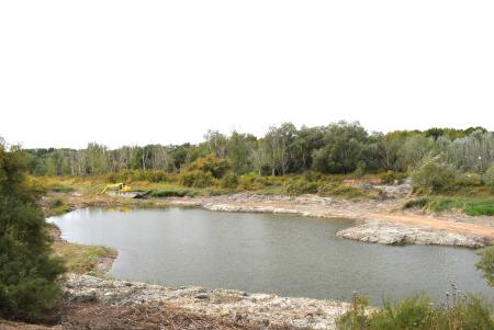 Imagen Concluye la restauración de lagunas en Las Islillas de Mejorada del Campo