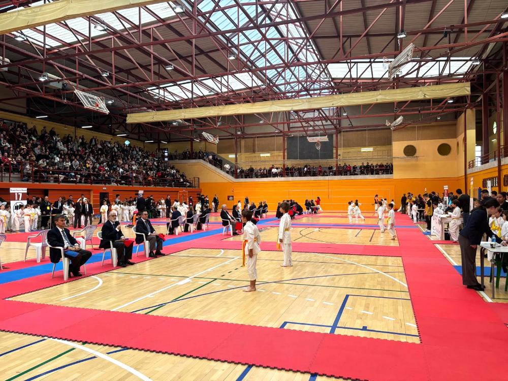 Imagen Gran participación en el Trofeo de Navidad de Karate